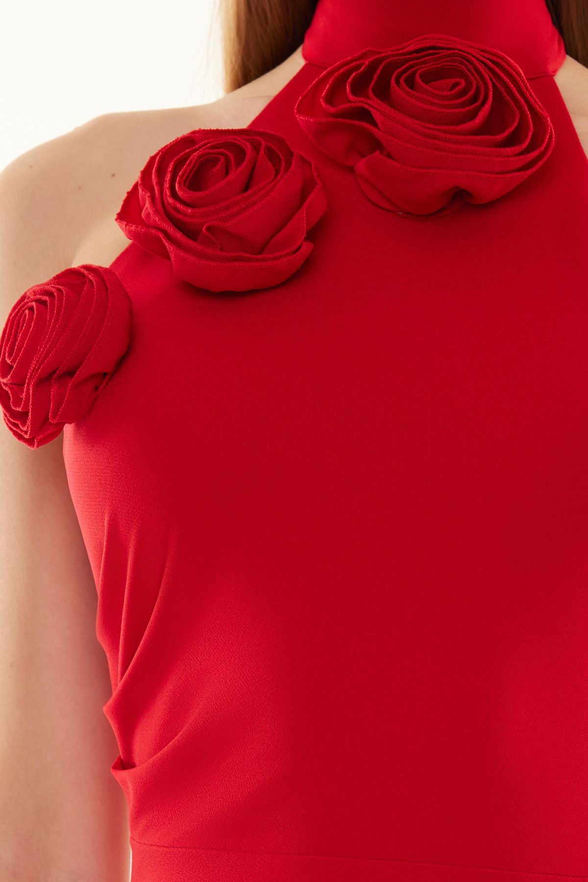 SCARLETT HALTER NECK GOWN